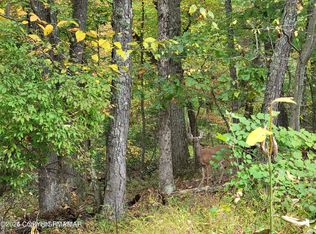 17 Summit Dr, East Stroudsburg, PA 18302