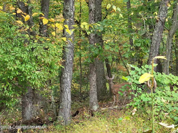 17 Summit Dr, East Stroudsburg, PA 18302