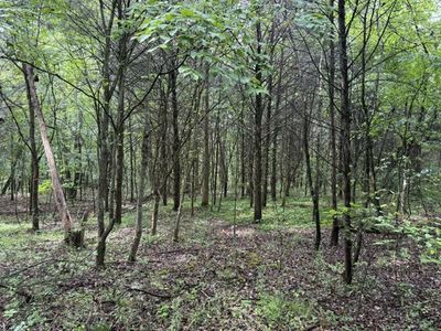 0 Teeters Rd Lot 7-8, Morrison, TN, 37357