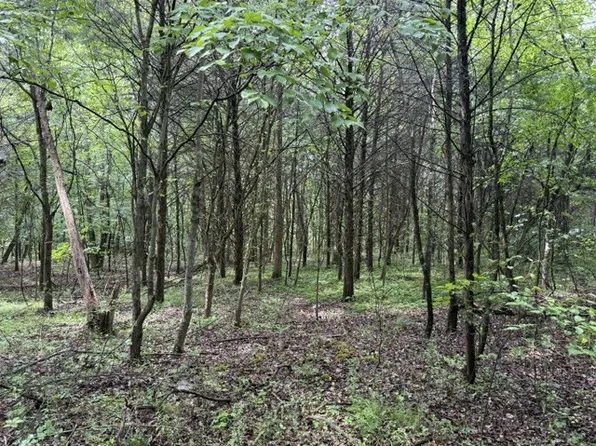 0 Teeters Rd Lot 7, Morrison, TN 37357