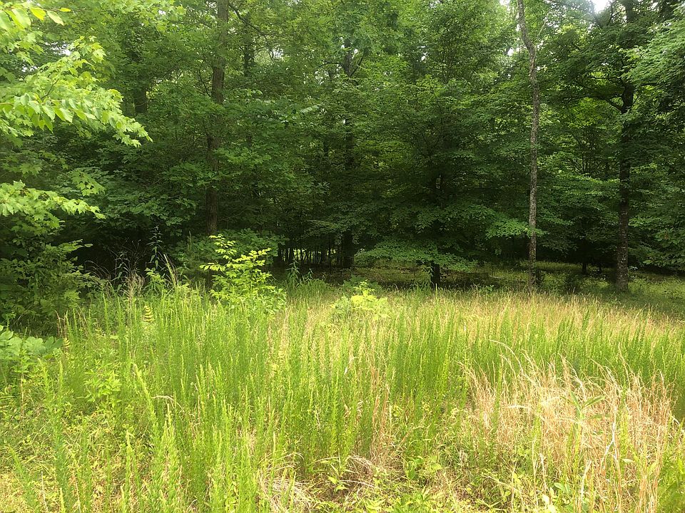 2nd image of 309 Bluff View Rd