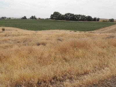 L3 Swallowtail Rd #3, Caldwell, ID, 83607