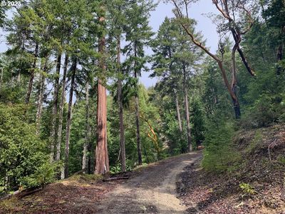 Quines Creek Rd, Azalea, OR, 97410