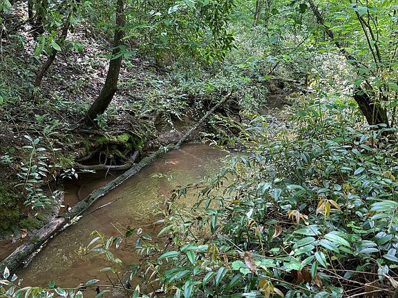 5th image of 0 Mill Trace Ct