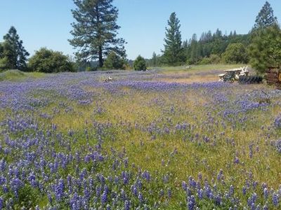 17252 Shake Ridge Rd, Sutter Creek, CA, 95685