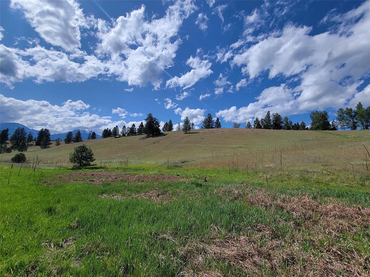 1173 Rugged Ridge Rd, Stevensville, MT 59870 MLS 30012902 Zillow