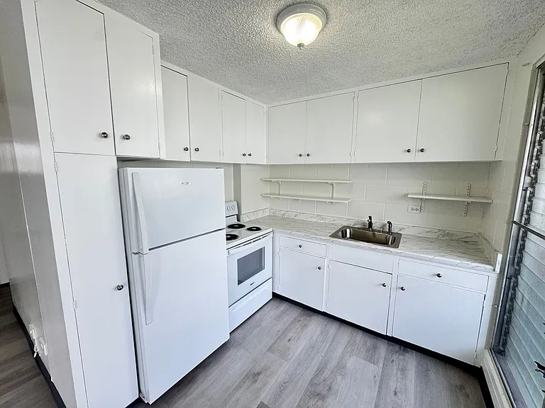 1217-V — Photo 2