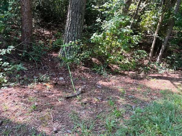 196 Tony Dr, Hartwell, GA 30643