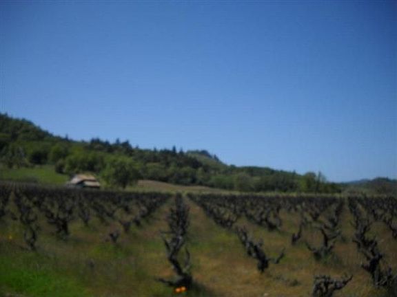5th image of 800 Malaga Dr