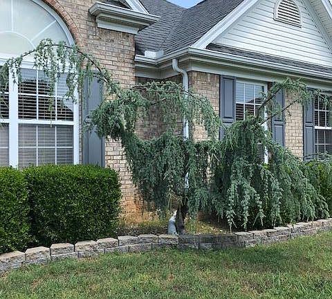 3rd image of 4191 Scarlett Oak Dr