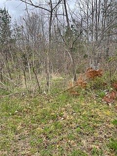 2nd image of 0 Shannon Ln