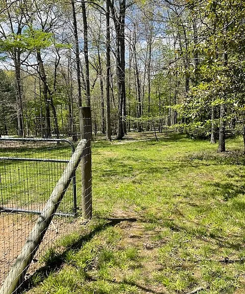 1974 Spruce Loop — Photo 3