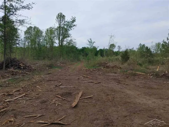 PARCEL W Isabella Rd #C, Shepherd, MI 48883