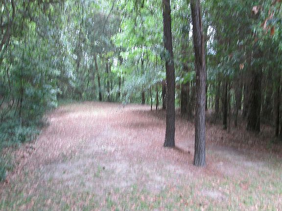 5th image of 28921 N County Road 1491