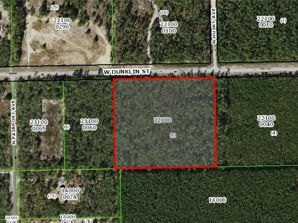 5222 W Dunklin St, Dunnellon, FL 34433