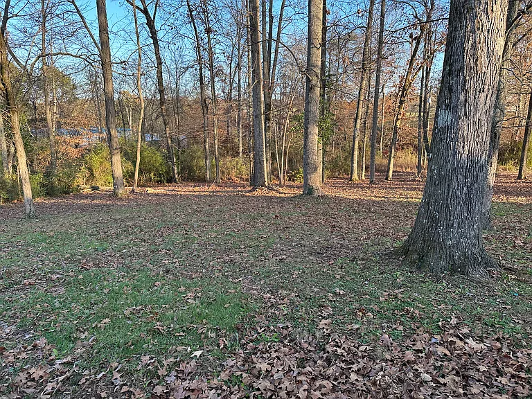 2213 Douglas Dam Rd #2 — Photo 18