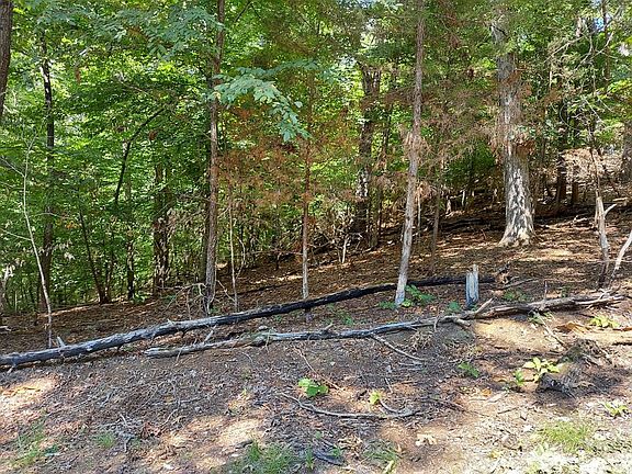 3rd image of LOT 876 Stoneway Pl