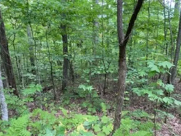 0 Turkey Pen Dr, Murphy, NC 28906