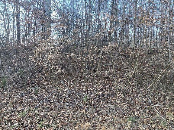 2nd image of LOT 15 River Rd