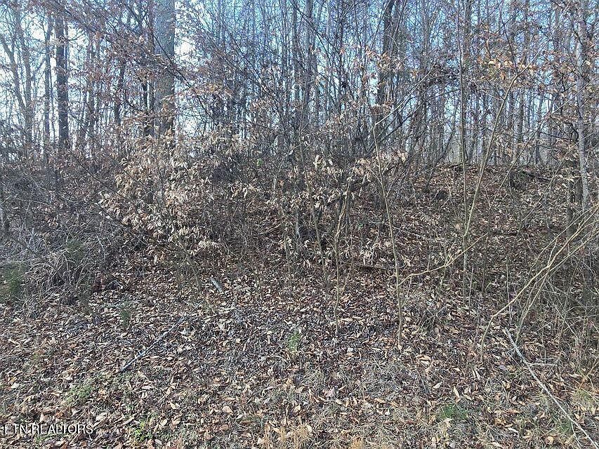 2nd image of LOT 15 River Rd