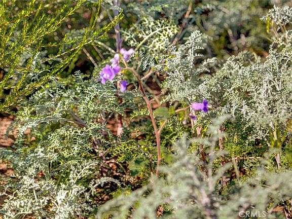 3rd image of 1 Decker Canyon Rd