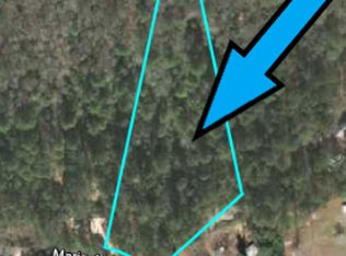 2475 Marigold Ave, Middleburg, FL 32068
