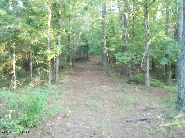 500 Black Gum Rd, Batesville, MS 38606