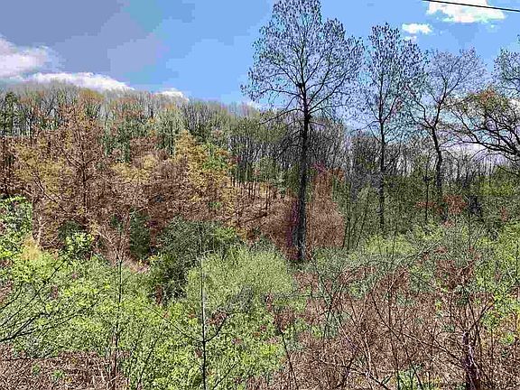 2nd image of 11-97 Old Country Ln