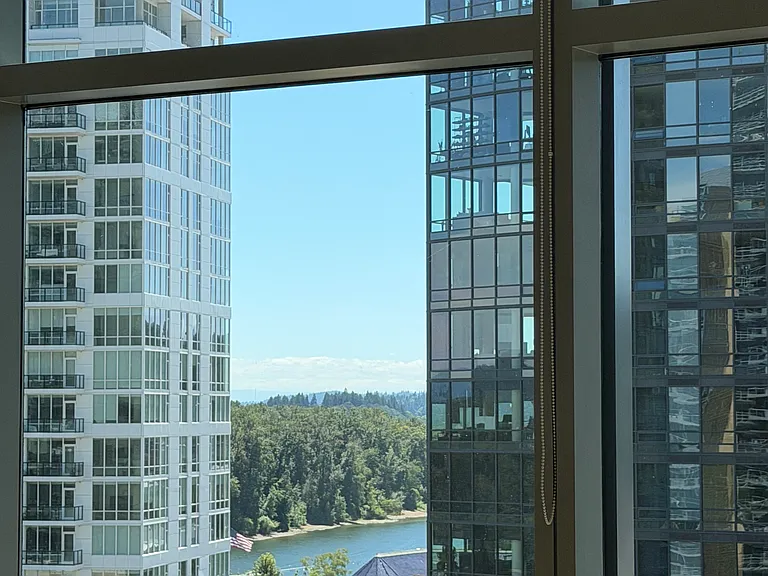 3600 S River Pkwy #1316 — Photo 7