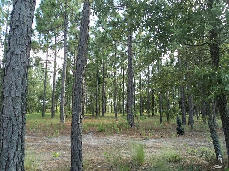 1st image of 2341 Sugargrove Trail