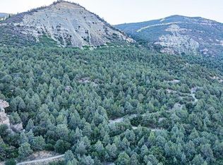 TBD Hubbard Creek, Paonia, CO 81428