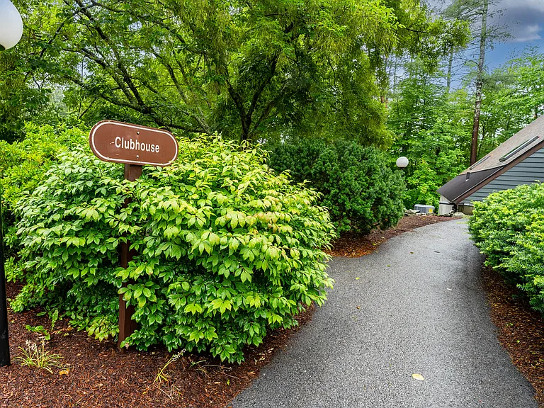 236 Brown Bear Xing — Photo 25