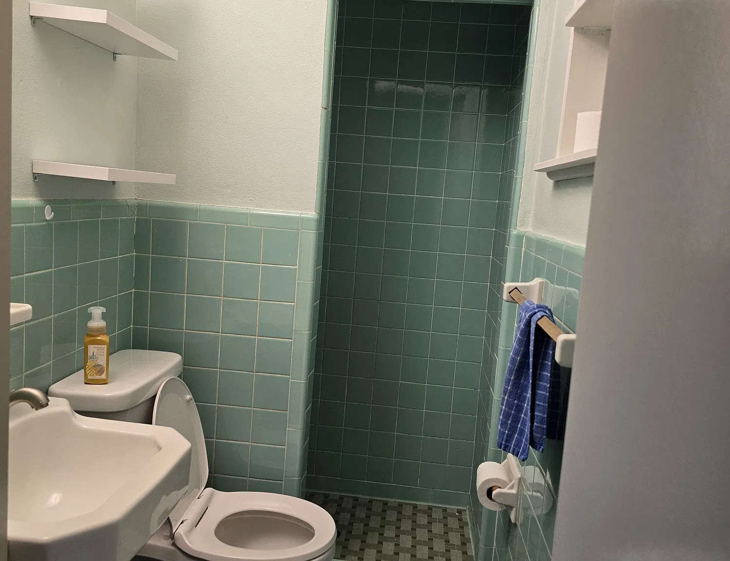 1 bed, 600 sqft, $1,500 — Photo 3