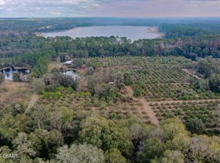 0 Richardson Ln, Pierson, FL 32180