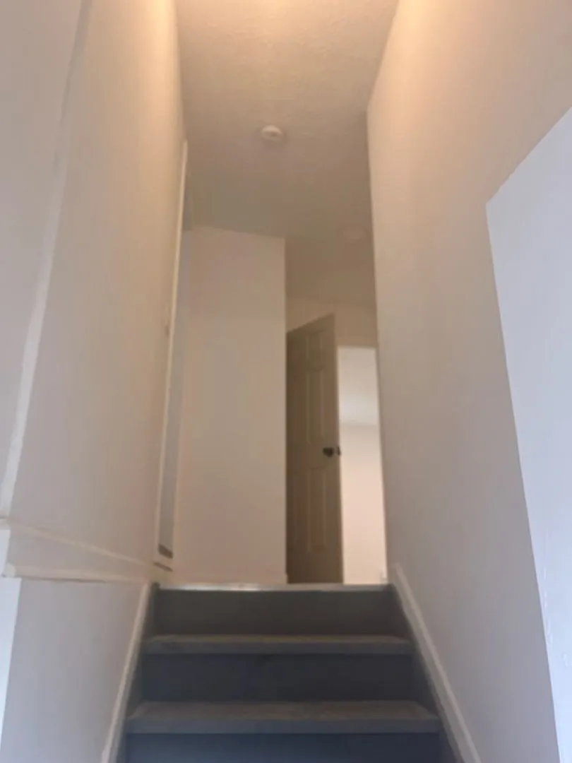537 South 4th Street — Photo 3