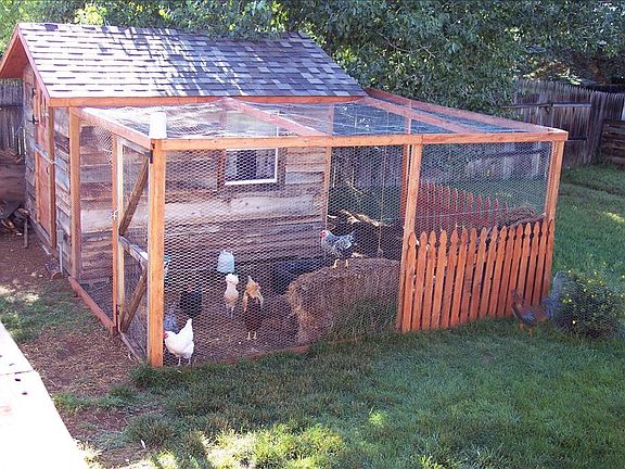 The Coop