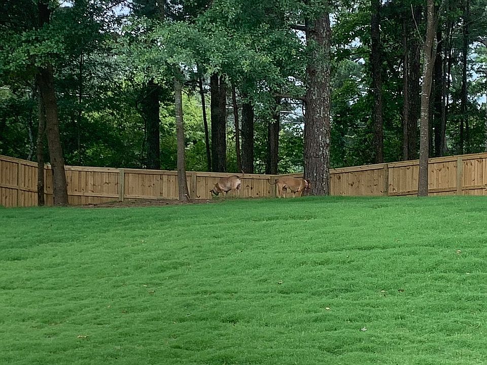 2nd image of 173 Gatlin Ridge Run