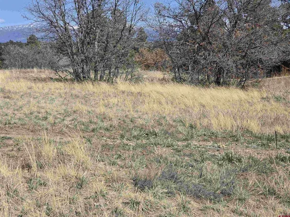 1151 Trails Boulevard, Pagosa Springs, CO 81147