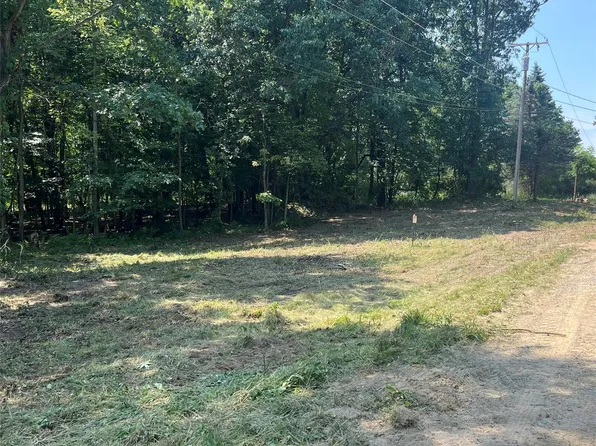1255 Houghton Trl, Ortonville, MI 48462