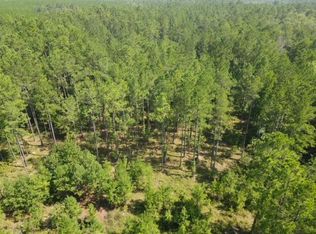 0 County Line Rd, Mount Vernon, GA 30445