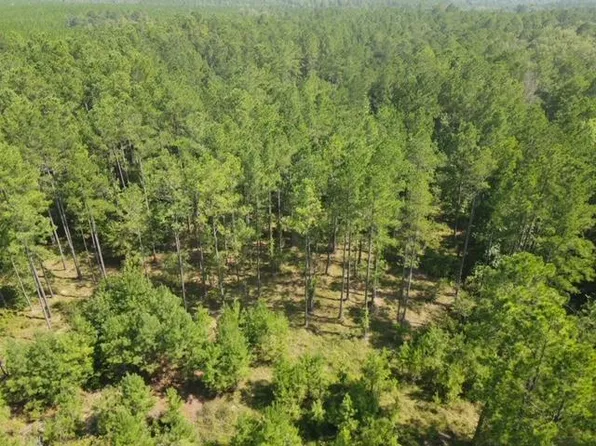 0 County Line Rd, Mount Vernon, GA 30445