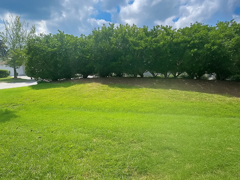 1 Pomegranate Ln — Photo 45