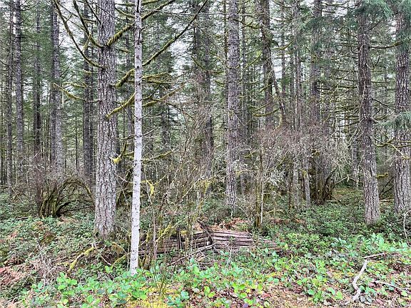 4th image of LOT 2 Walker Rd