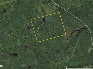 11 Sheepskin Rd #L, Springfield, ME 04487