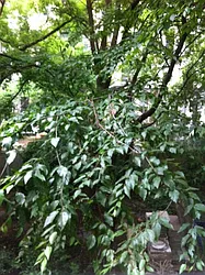 Rented by The Search D&M