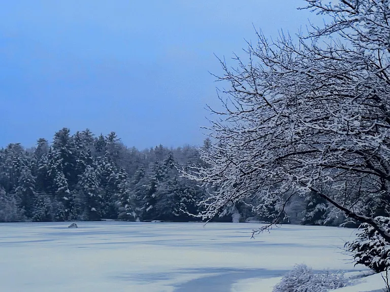 The lake in the winter