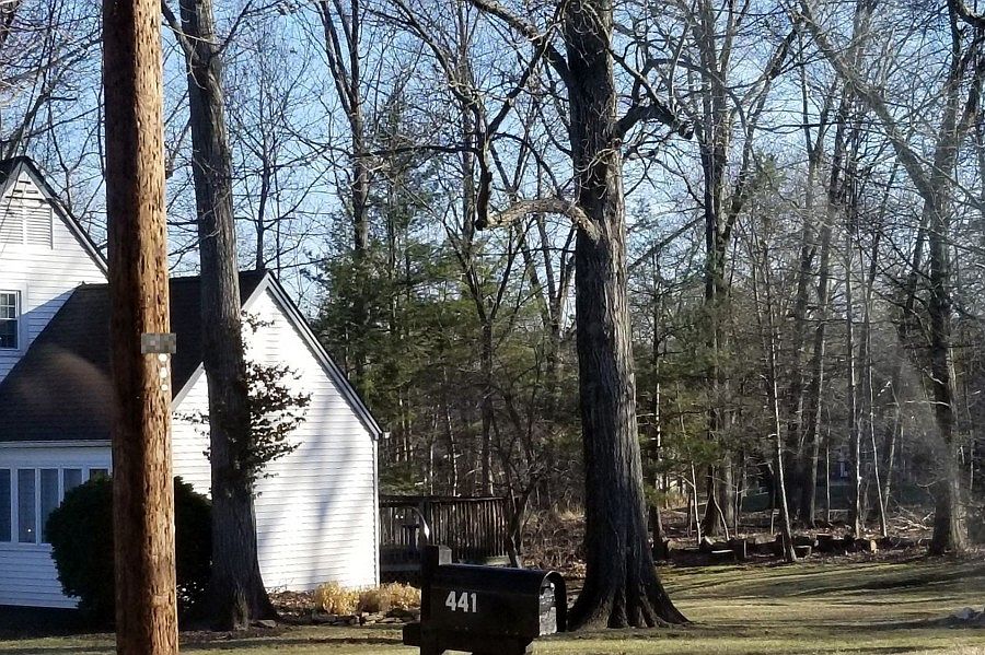 441 Van Holten Rd Bridgewater NJ Zillow