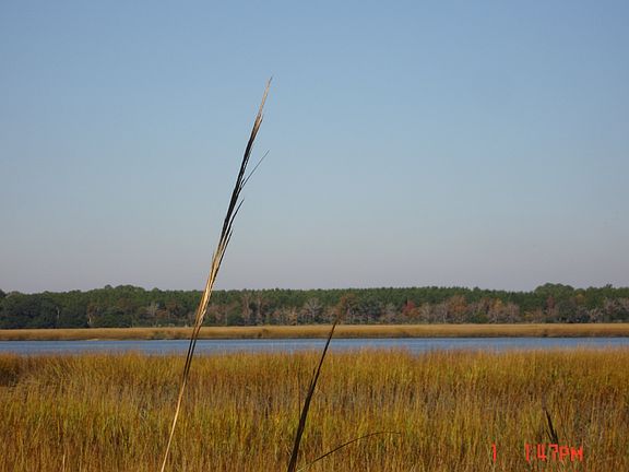 2nd image of 126 Seacreast Lane