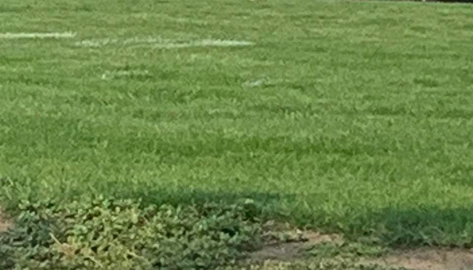 2nd image of 2313 Stephanie Cir