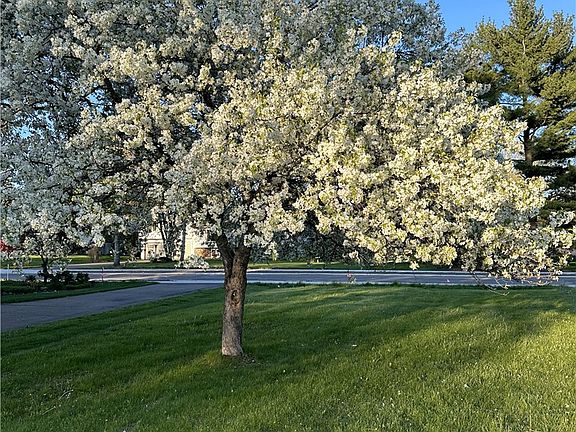 3rd image of 4348 Meadow Lane